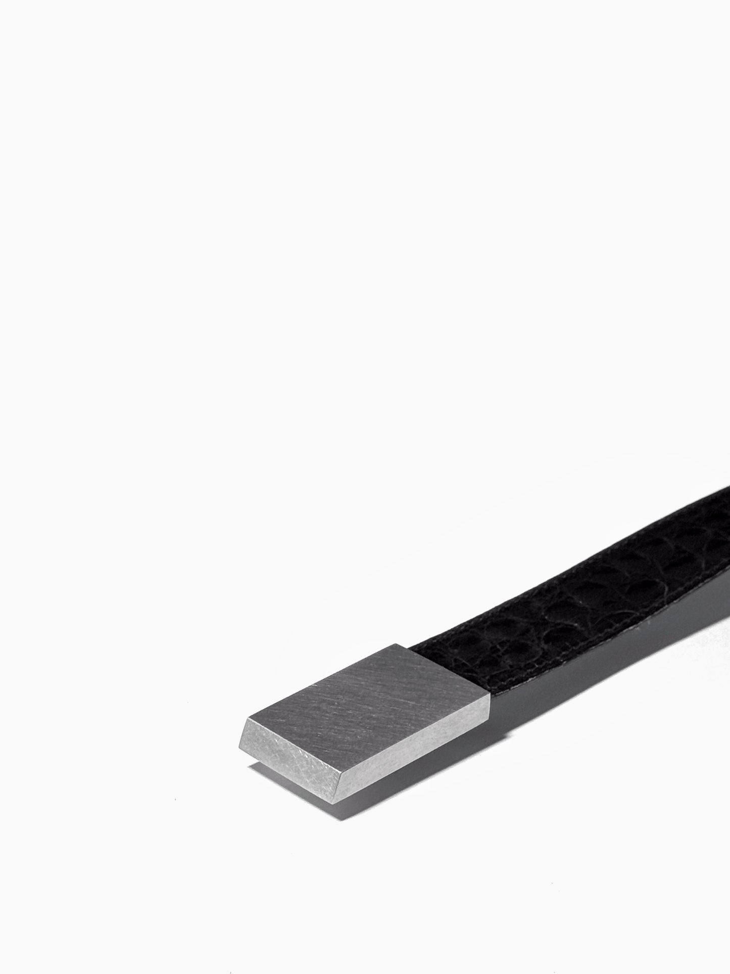 AB01 Buckle